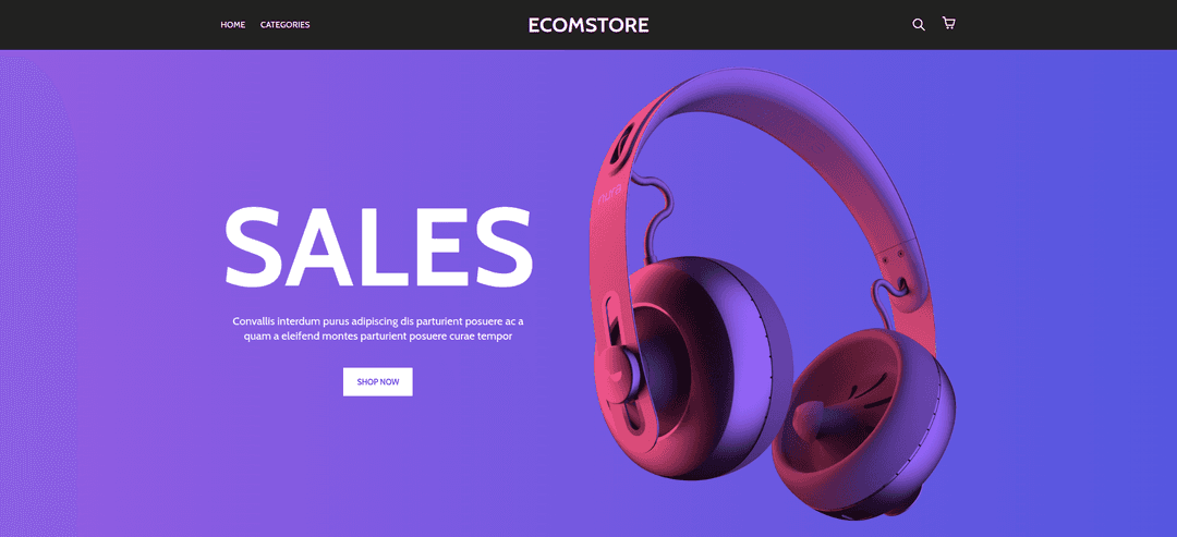 Ecommerce Store